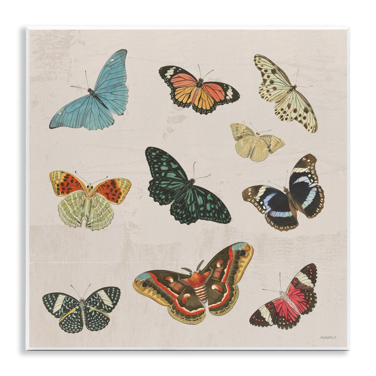 Stupell Industries Vintage Butterfly Flight Wall Plaque, design by Dan Meneely
